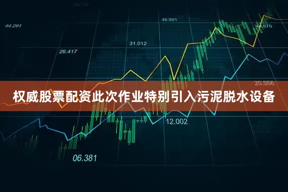 权威股票配资此次作业特别引入污泥脱水设备