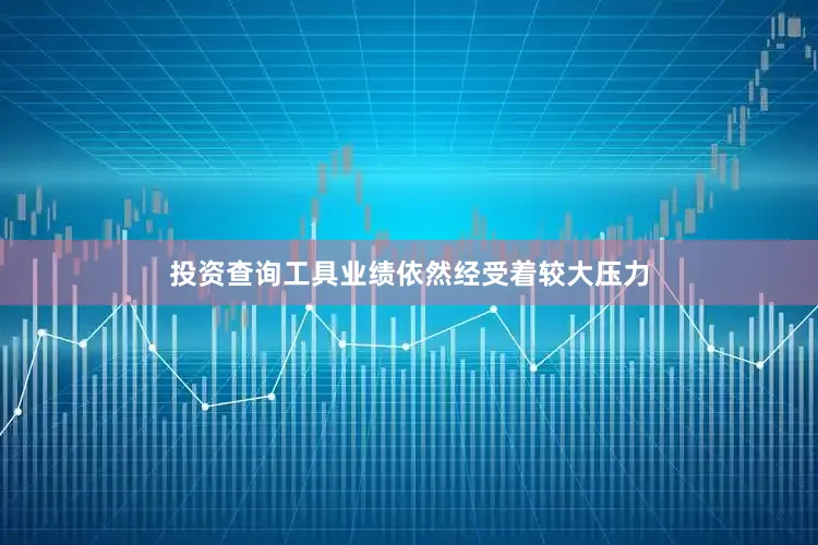 投资查询工具业绩依然经受着较大压力