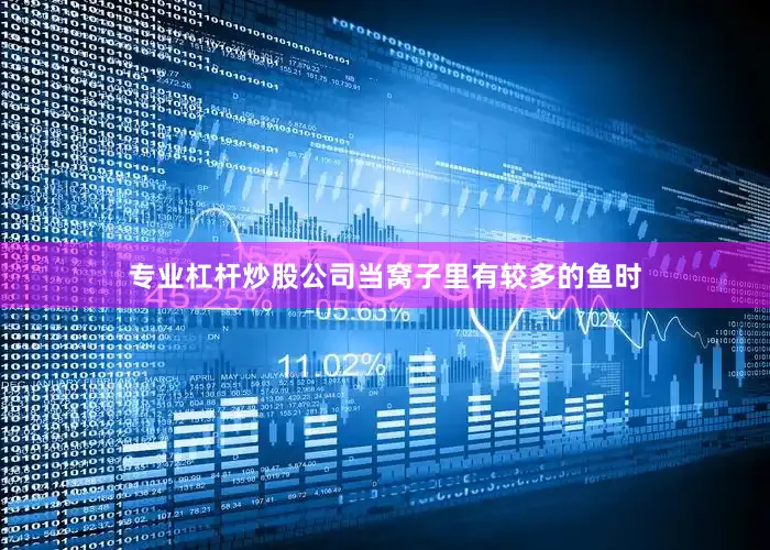专业杠杆炒股公司当窝子里有较多的鱼时