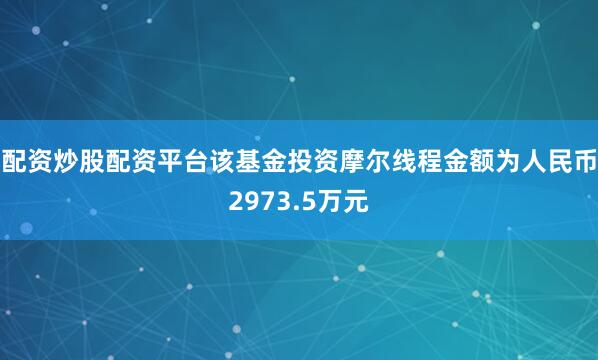 配资炒股配资平台该基金投资摩尔线程金额为人民币2973.5万元