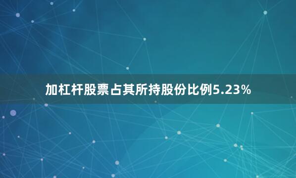 加杠杆股票占其所持股份比例5.23%